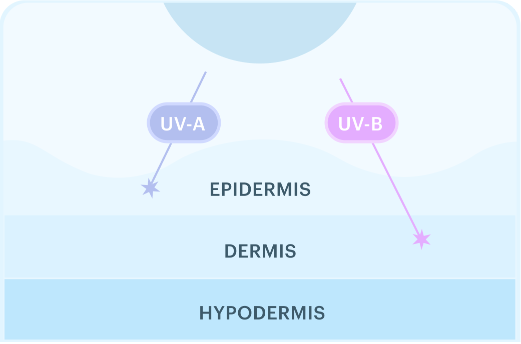 UV A UV B Botox 1