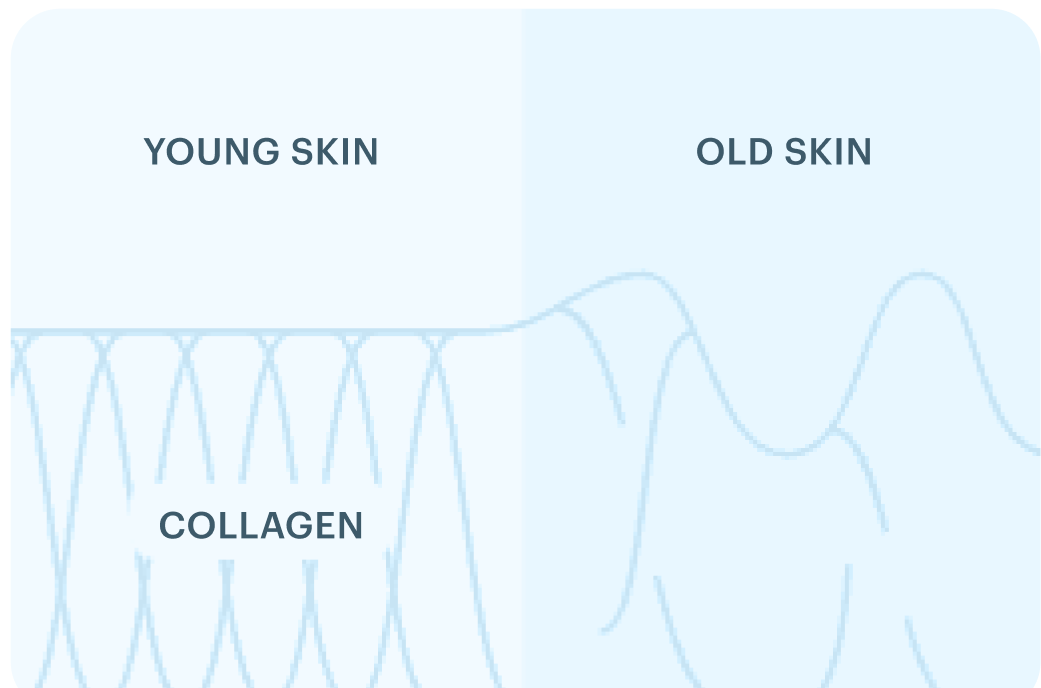 Young Old Collagen 1